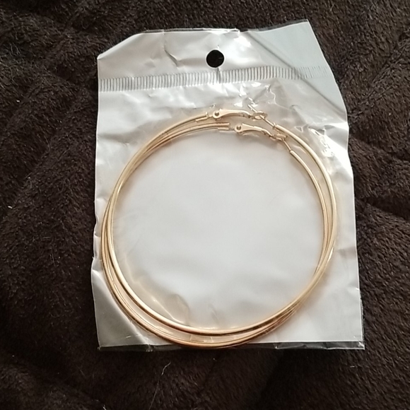 Gold Tone Hoop Earrings - Picture 1 of 2